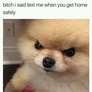 Meet your Posher, Val